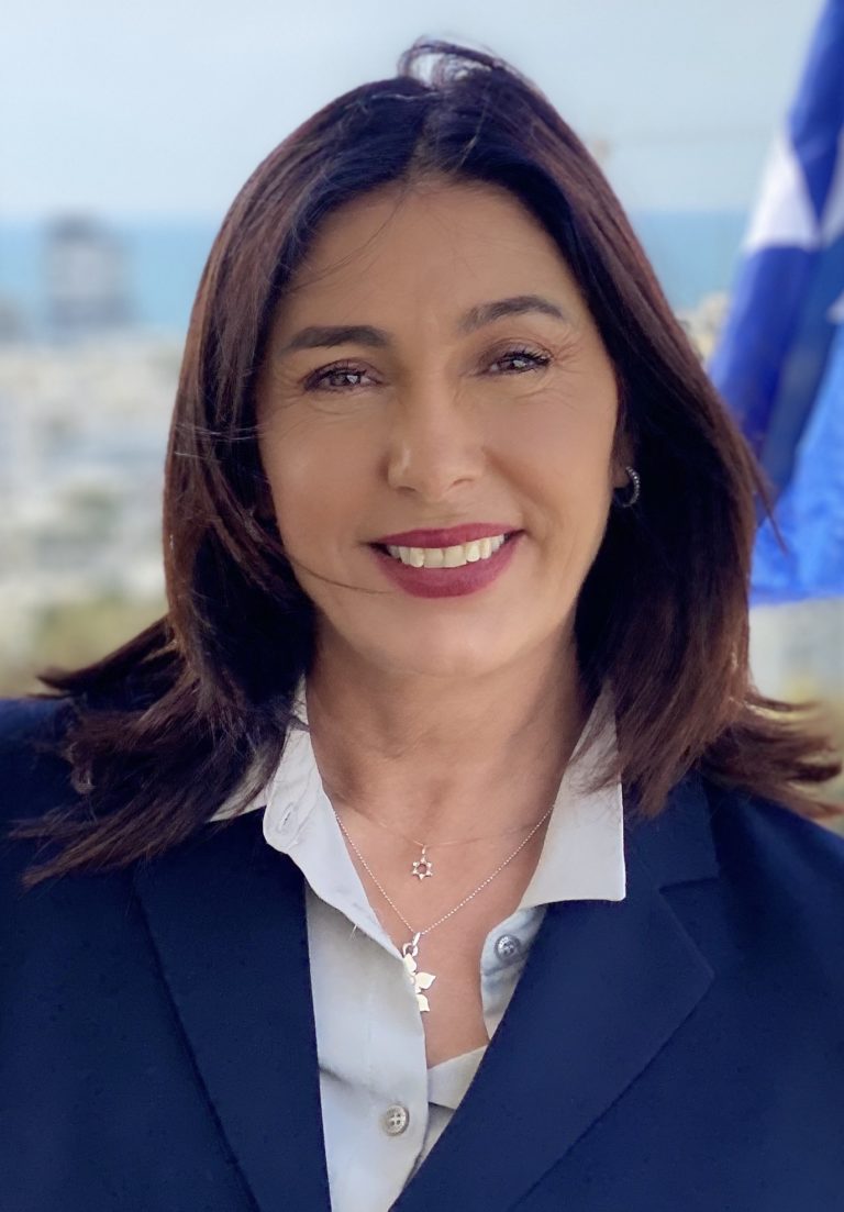 מחירון רכב אלטרנטיבי: או, למה מירי רגב רוצה מאגר מידע נוסף